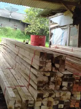 Kayu kaso super murah 5/7x400