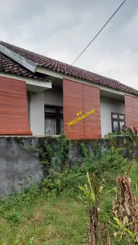 Tirai kayu jember