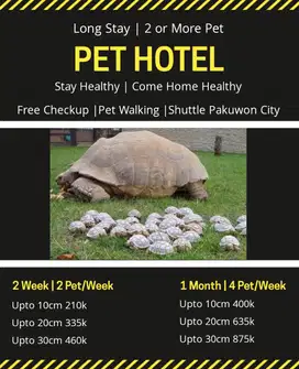 pethotel kenjeran