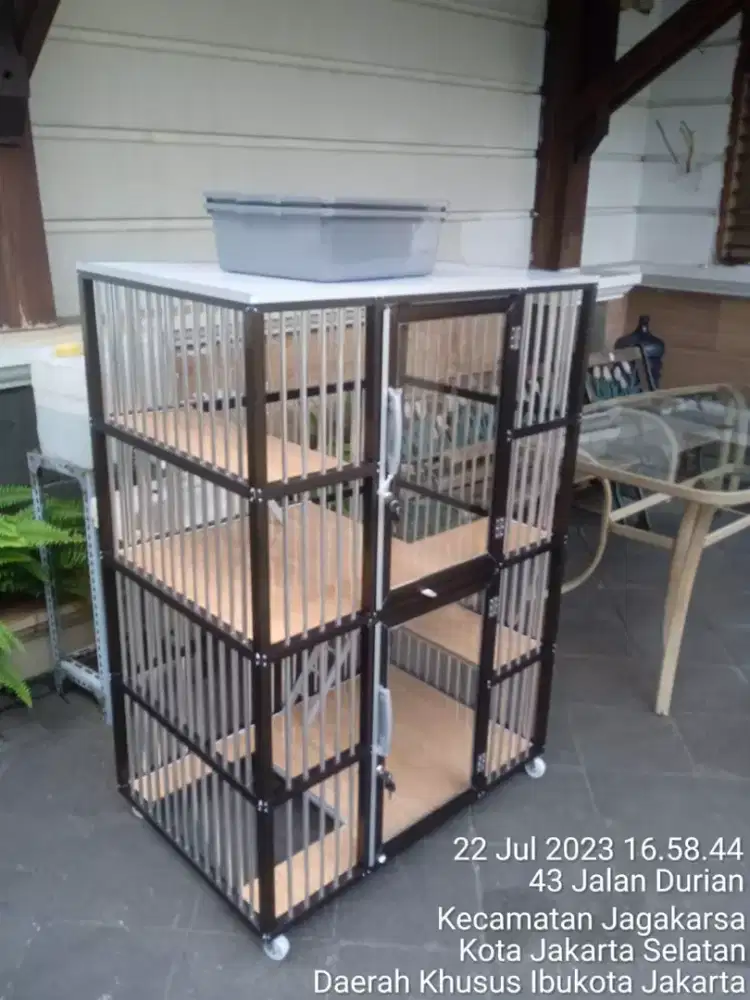 Kandang kucing Taman sari 4
