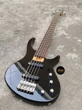 Bass Epiphone tobias deluxe v