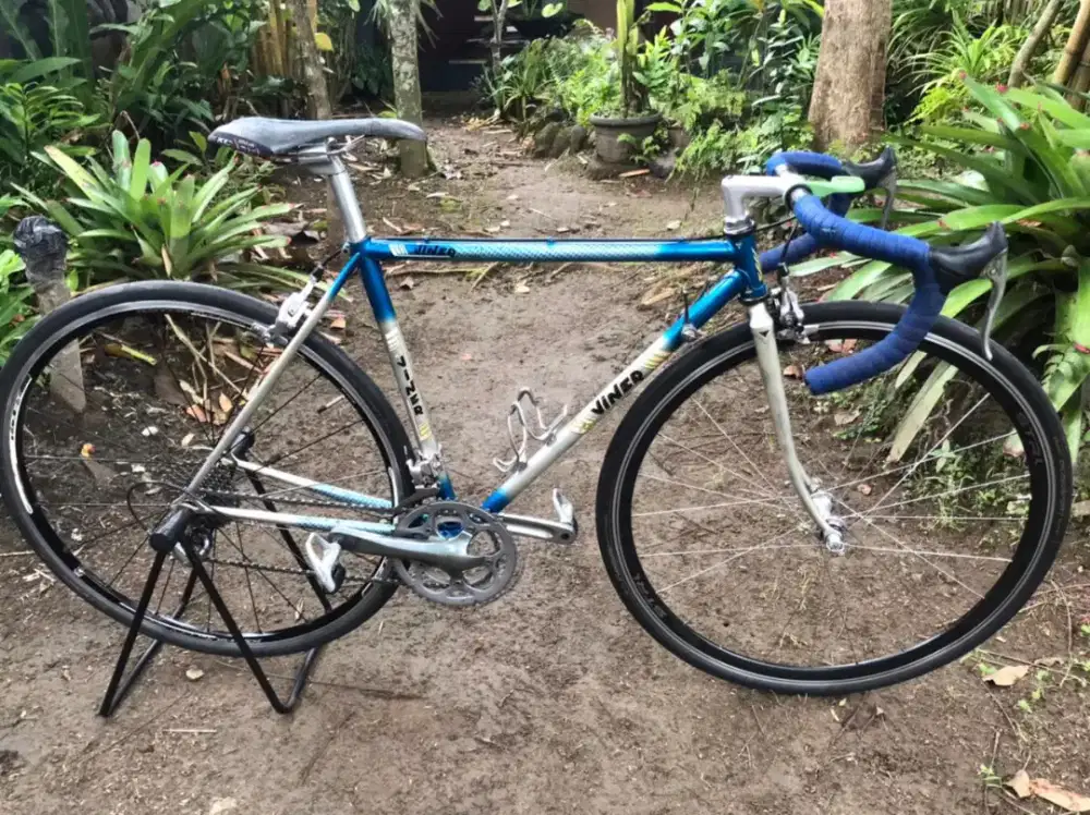 Viner Vintage Italian Roadbike