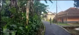 Tanah kebun 1120 m2 dekat warga