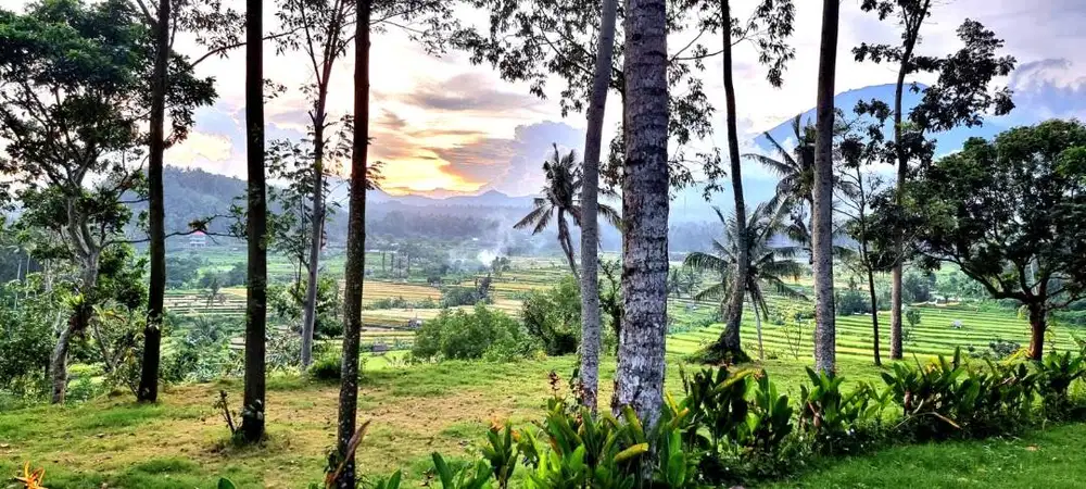 Tanah di Jalan Raya Ababi Kawasan Wisata Karangasem Dekat Tirta Gangga