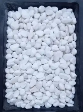 Batu putih salju