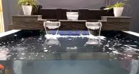 Kolam minimalis ikan koi