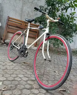 Sepeda fixie msh ok