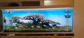 Aquarium aquascape
