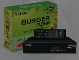 STB Matrix burger