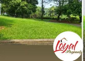 Di Jual Cepat Tanah Kavling Di Delatinos BSD