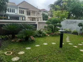 tukang taman landscape, vertikal garden dan vertikal sintetis