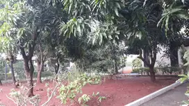 Di Jual Cepat Rumah Hook Tanah Besar Lokasi Premium Harapan Indah