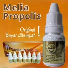 Propolis moerni