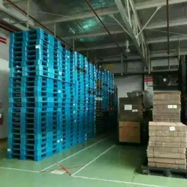 pallet plastik palet plastik promo termurah