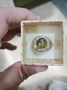 Cincin Chrysoberyl Cat Eye 5crt