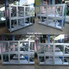 Kandang kucing 4 pintu