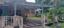 kanopi &amp;batu sikat taman renovasi.