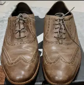 Sepatu Pria Kulit Cole Haan Original