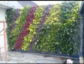 taman vertikal garden
