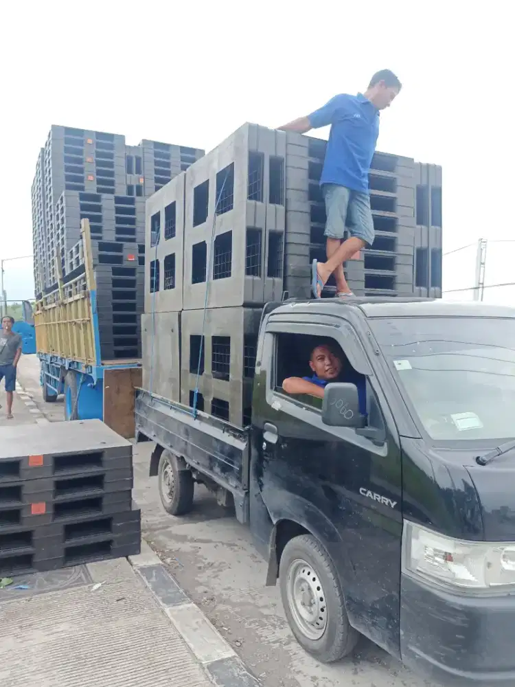 Pallet plastik second bagus murah