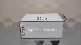 Styrofoam box mini