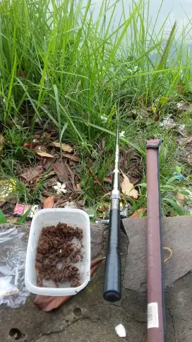 Pancing an BadDog