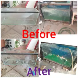 Bersihin kerak kaca pada aquarium / maintenance