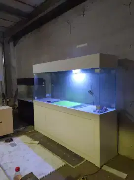 Aquarium big tank murah