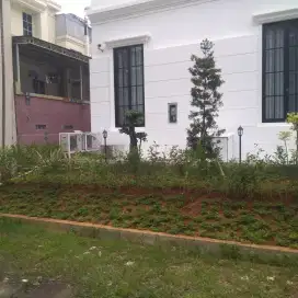 Jasa perawatan taman termurah di Jakarta