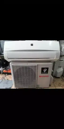 Ac sharp 1/2pk - 1pk