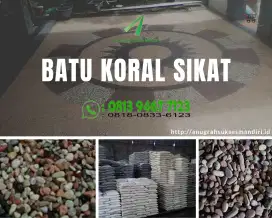 Jual batu koral sikat dan jasa pemasangan