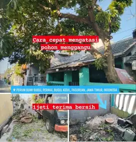 Tebang pohon kota Pasuruan