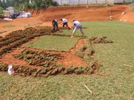 Distributor Petani rumput taman permeter