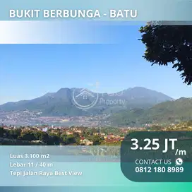 Bukit Berbunga Tepi Jalan Raya Pemandangan Terbaik Kota Batu