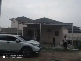 Terima beris canopi taso