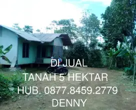 DI JUAL KEBUN 5 HEKTAR