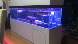 Cabinet aquarium murah