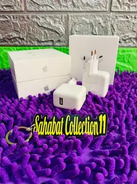 Adaptor iPhone iPad 10 Watt Original