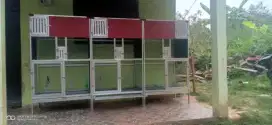 Kndang ternak 3 kamar