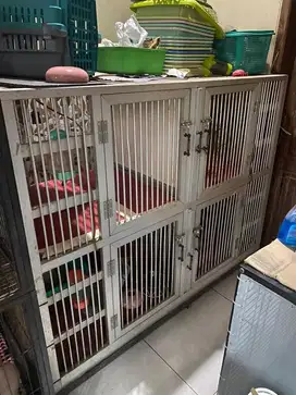 Kandang kucing Alumunium 4 pintu untuk kucing persia bsh sphynx dewasa