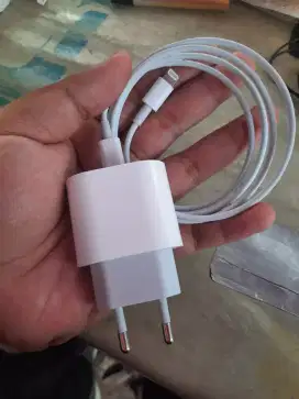 Charger iphone 12 pro 20 watt