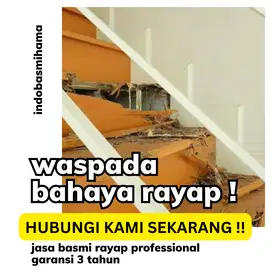 Anti rayap surabaya jawa timur