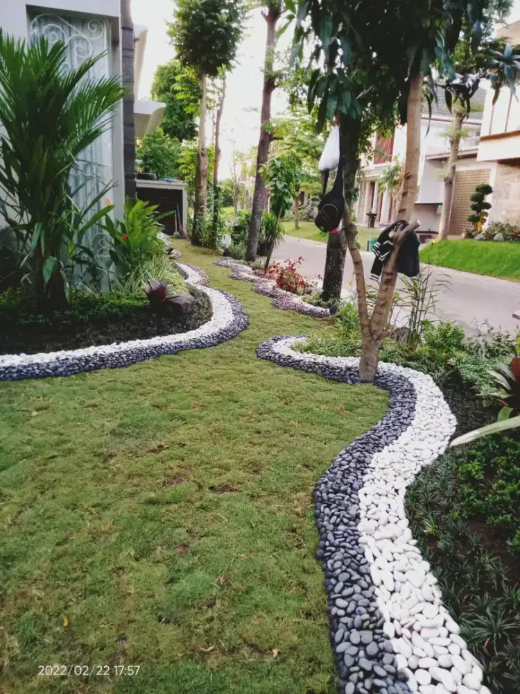 Jasa bikin Taman murah jogja ready rumput gajah mini & Manila Jepang
