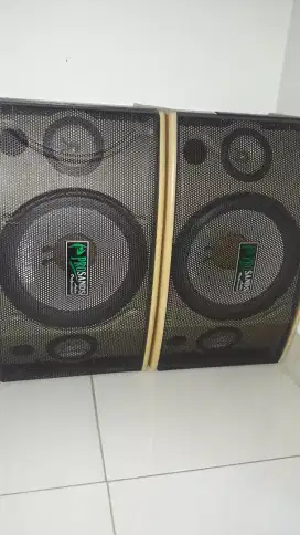Digital Stereo Echo Amplifier