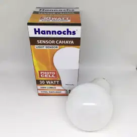 Hannochs Light Sensor 30w Lampu LED Cahaya photo cell 30 watt w putih