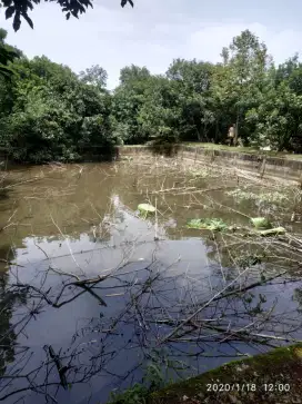 DI JUAL  LAHAN BEKAS PEMANCINGAN DI PABUARAN  CITAYAM
