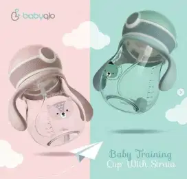 Botol Minum Bayi (Sippy Cup)