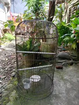 Sangkar burung (besi kawat)