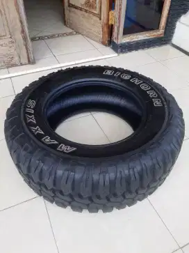 Ban Maxxis Big Horn R17