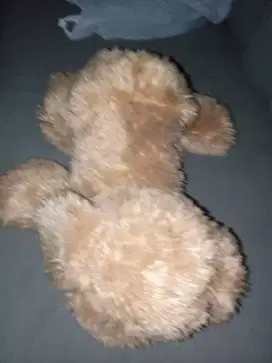 Boneka funny dog cream edition